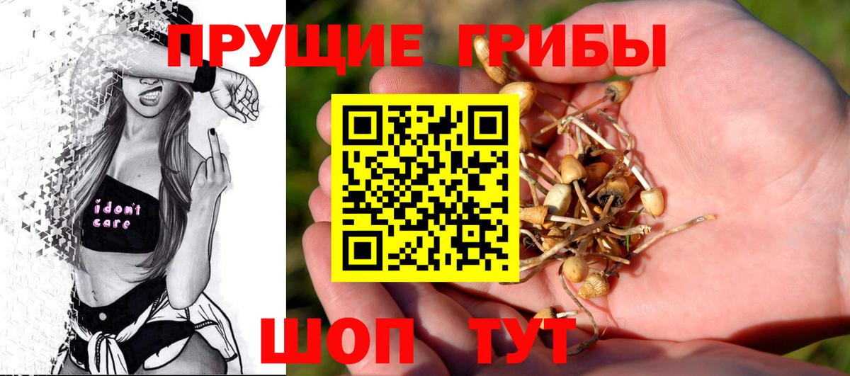 Галлюциногенные грибы Psilocybe Приморско-Ахтарск